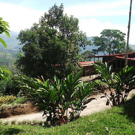 Green Mountain And Lodge توريالبا المظهر الخارجي الصورة