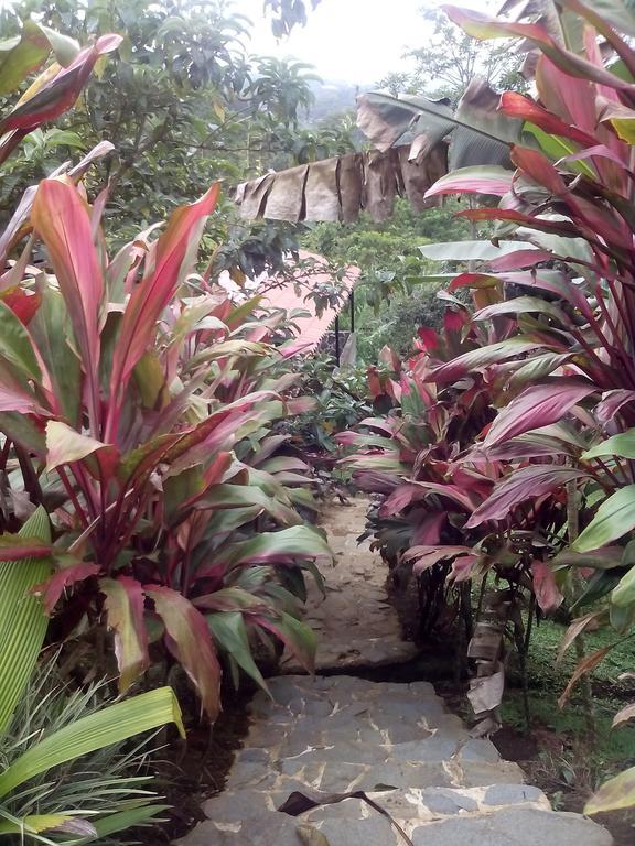 Green Mountain And Lodge توريالبا المظهر الخارجي الصورة
