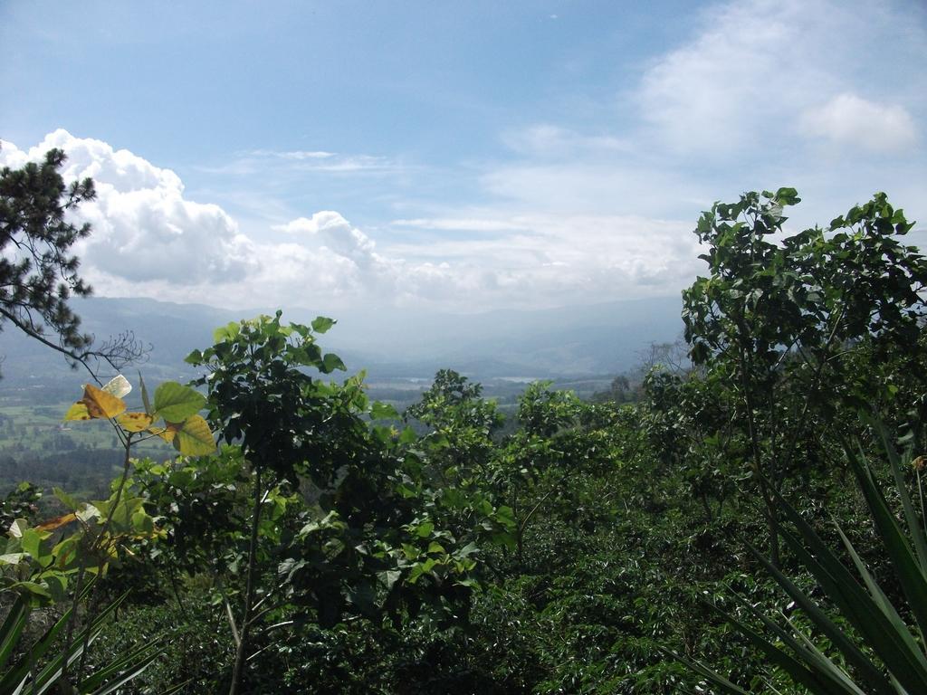 Green Mountain And Lodge توريالبا المظهر الخارجي الصورة