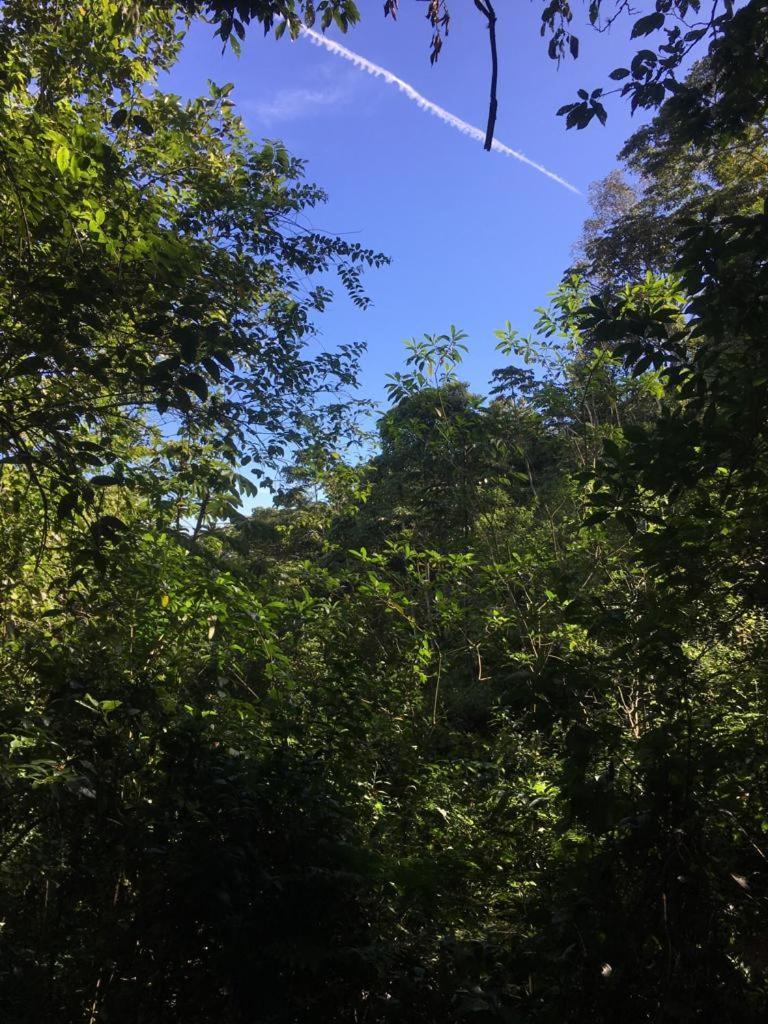 Green Mountain And Lodge توريالبا المظهر الخارجي الصورة